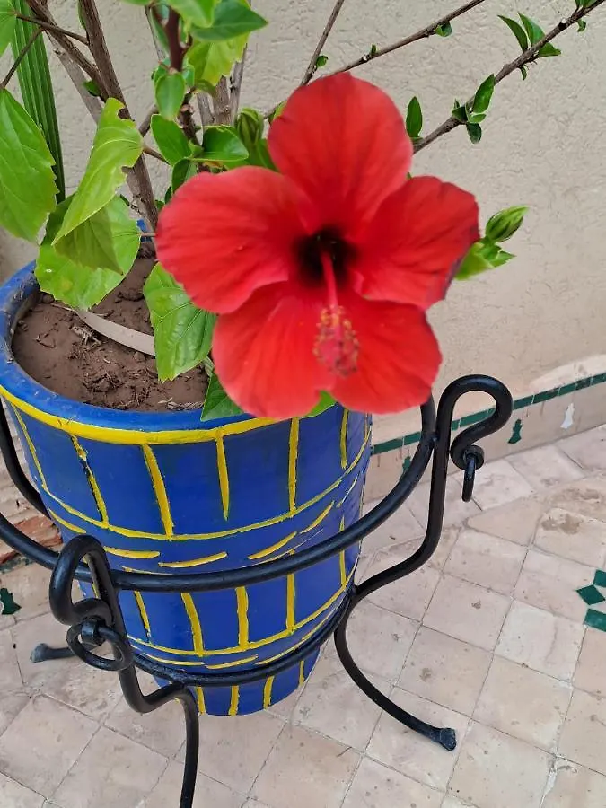 Riad Rime Garden Marrakech Lagouassem