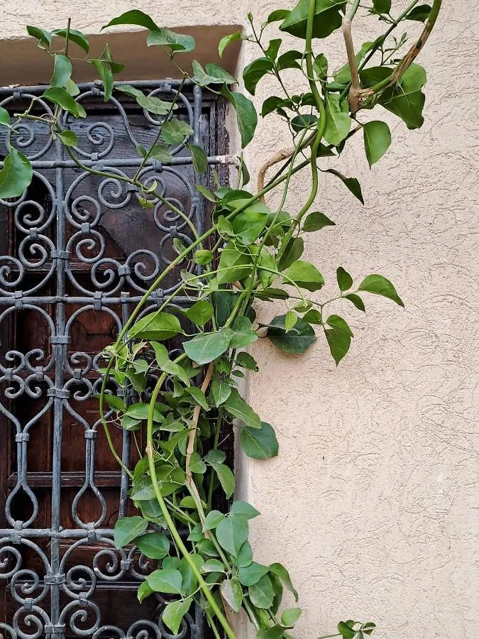 Riad Rime Garden Marrakech Lagouassem المغرب