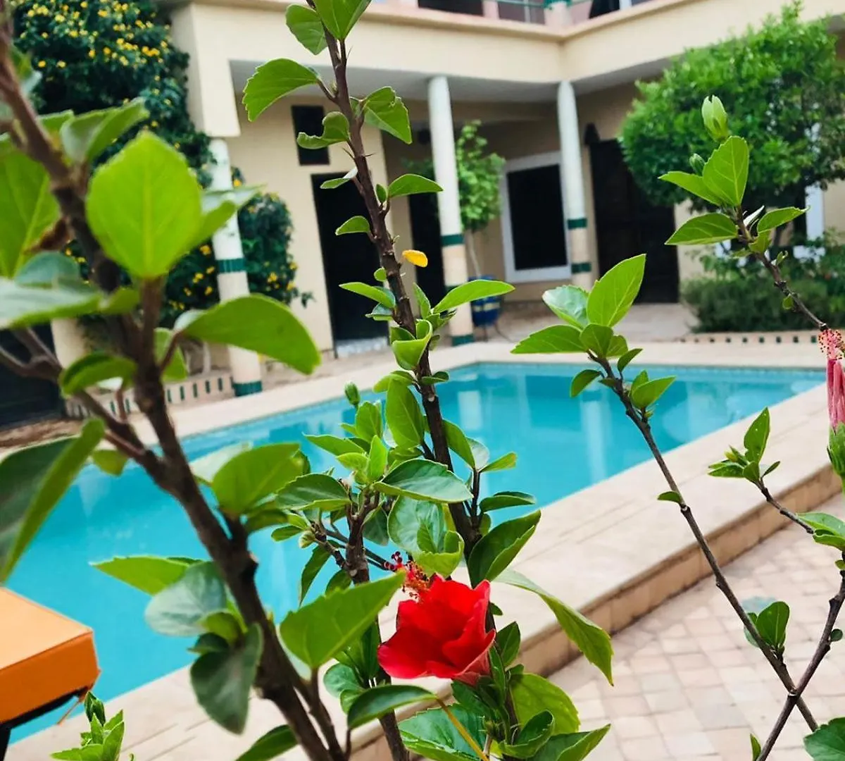Riad Rime Garden Marrakech Lagouassem المغرب